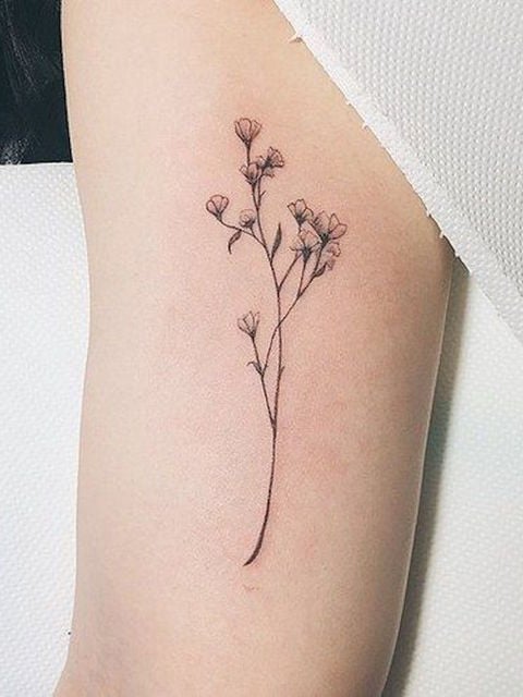 Tatuagem de flores pequenas em um galho preto