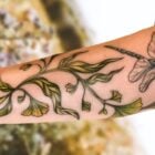 Tatuagem botânica com libélula em braço