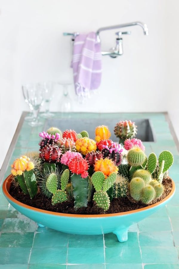 Vaso de planta colorido na cozinha.