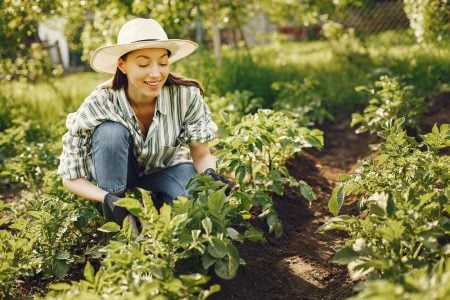 Como cultivar verduras e legumes: 20 vegetais para plantar em casa