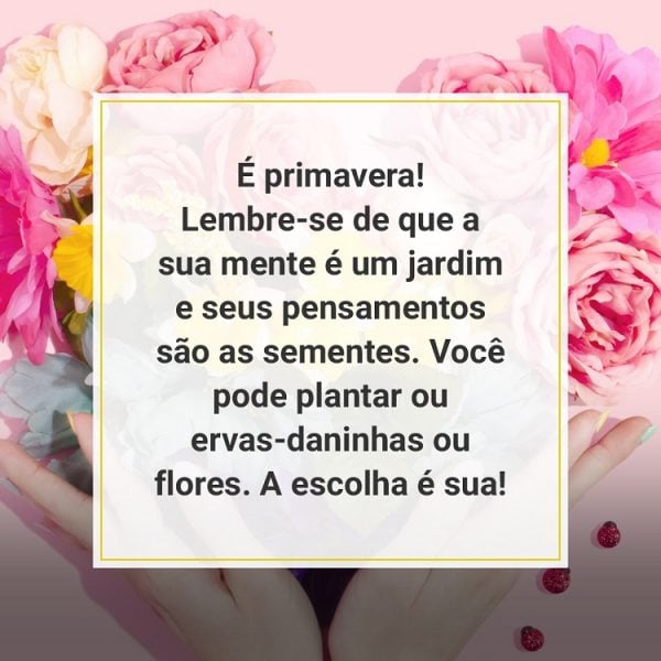 Frases De Primavera: 50 Lindas Mensagens Da Estação Para Compartilhar ...