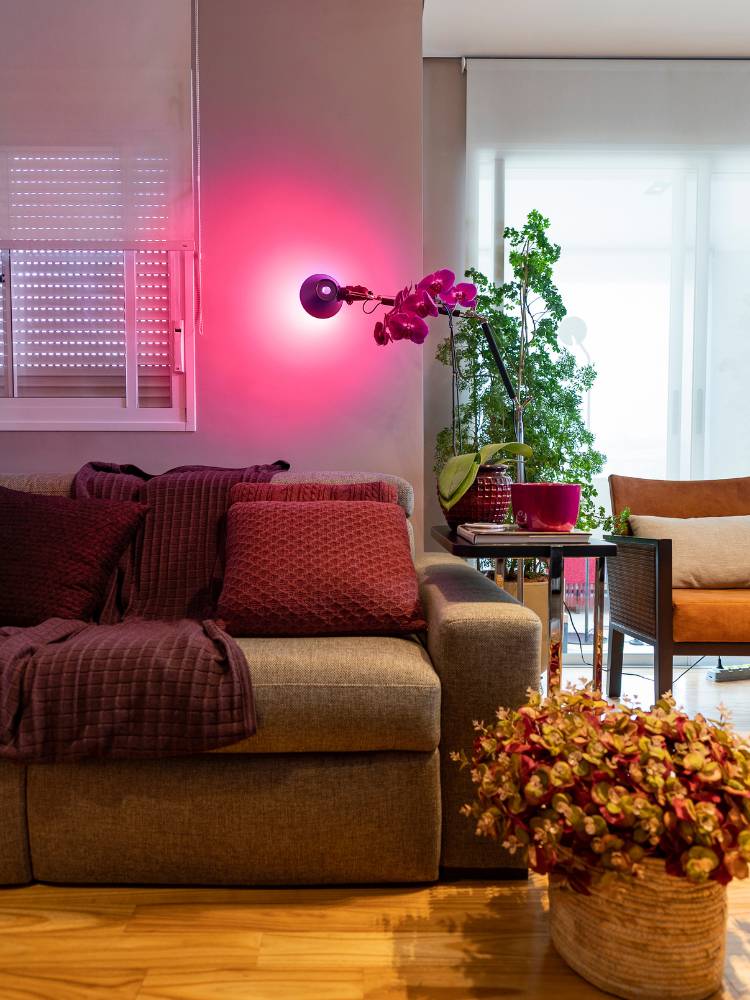 Espaço zen com sofá marrom, almofadas em tons terrosos, vaso com plantas em tons terrosos, janela ao fundo, poltrona laranja ao fundo e luminária com luz rosa na parede