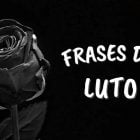 Frases de luto: foto com rosa em preto e branco