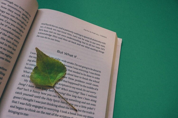 livro aberto com uma folha em cima
