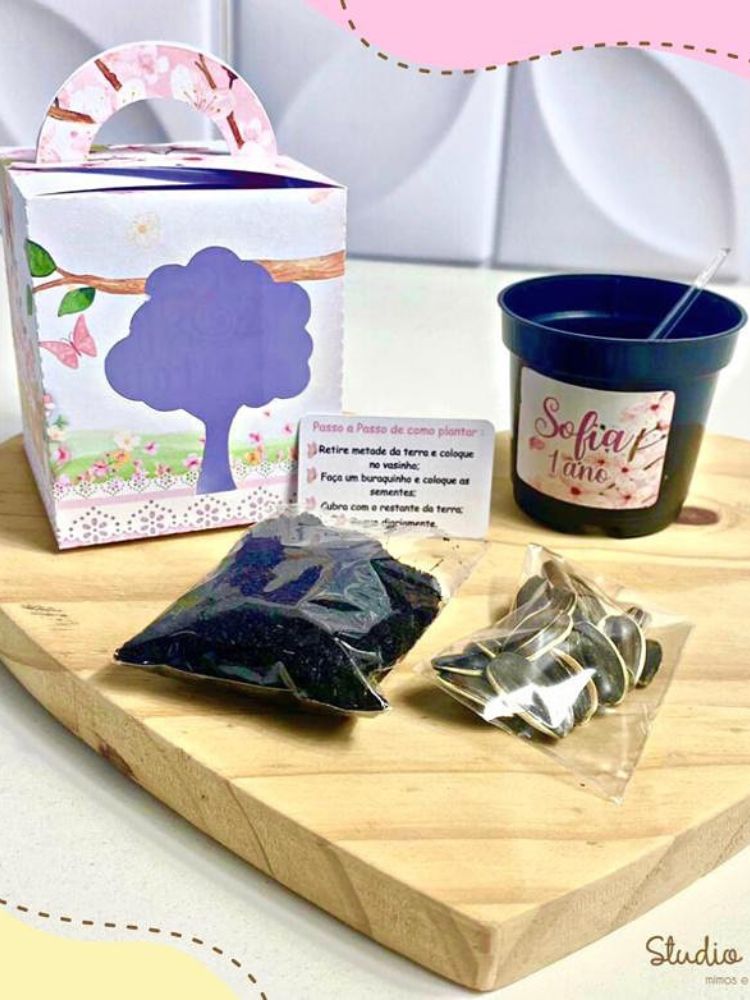 Kit de plantio infantil, com sementes, terra, vaso, instruções e caixa decorativa 