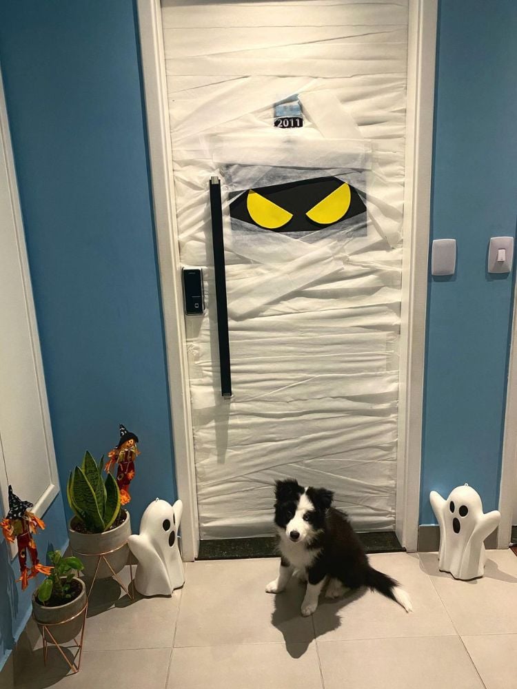 Entrada de apartamento com parede azul, porta com papel branco simulando múmia, filhote de border collie sentado, vasos e fantasmas decorativos 