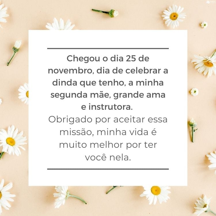 Cartão virtual de fundo bege com margaridas e quadrado branco com frase "Chegou o dia 25 de novembro, dia de celebrar a dinda que tenho, a minha segunda mãe, grande ama e instrutora. Obrigado por aceitar essa missão, minha vida é muito melhor por ter você nela."