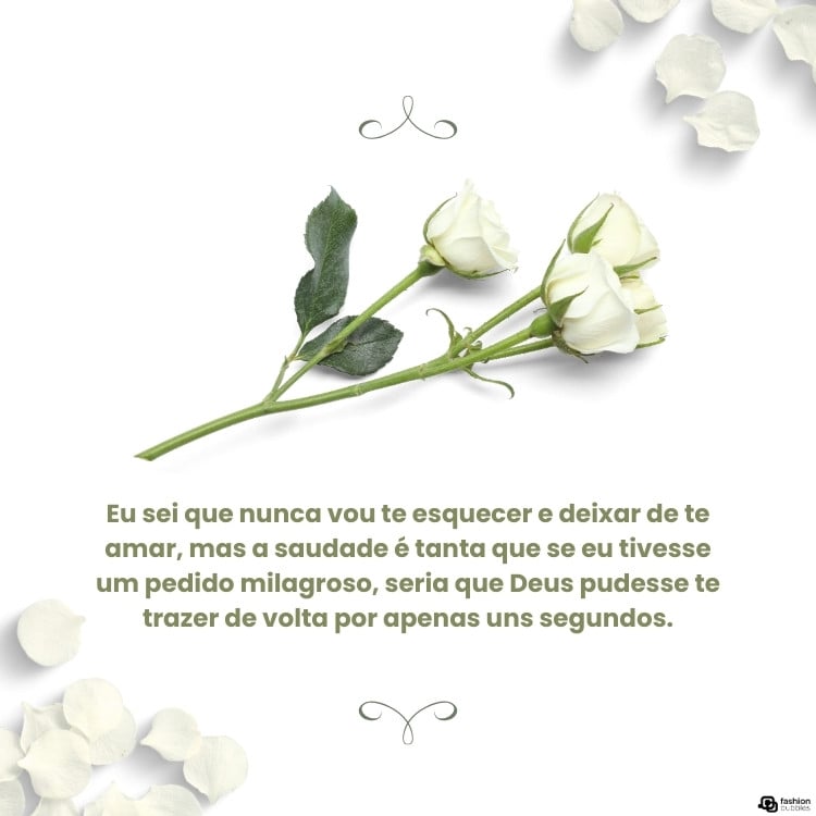 Cartão virtual de fundo branco com foto de flores brancas ao centro e pétalas nas extremidades, além de frase "Eu sei que nunca vou te esquecer e deixar de te amar, mas a saudade é tanta que se eu tivesse um pedido milagroso, seria que Deus pudesse te trazer de volta por apenas uns segundos."