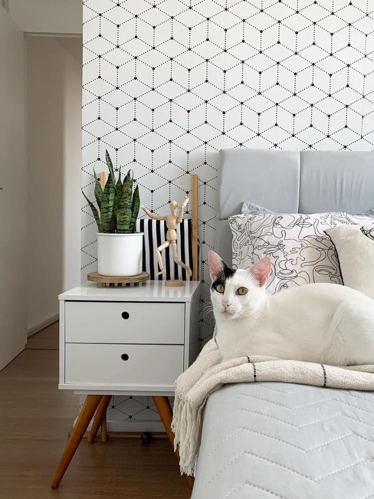 Foto de quarto com parede branca e preta, cama com gato branco e preto e cômoda branca com espada-de-são-jorge