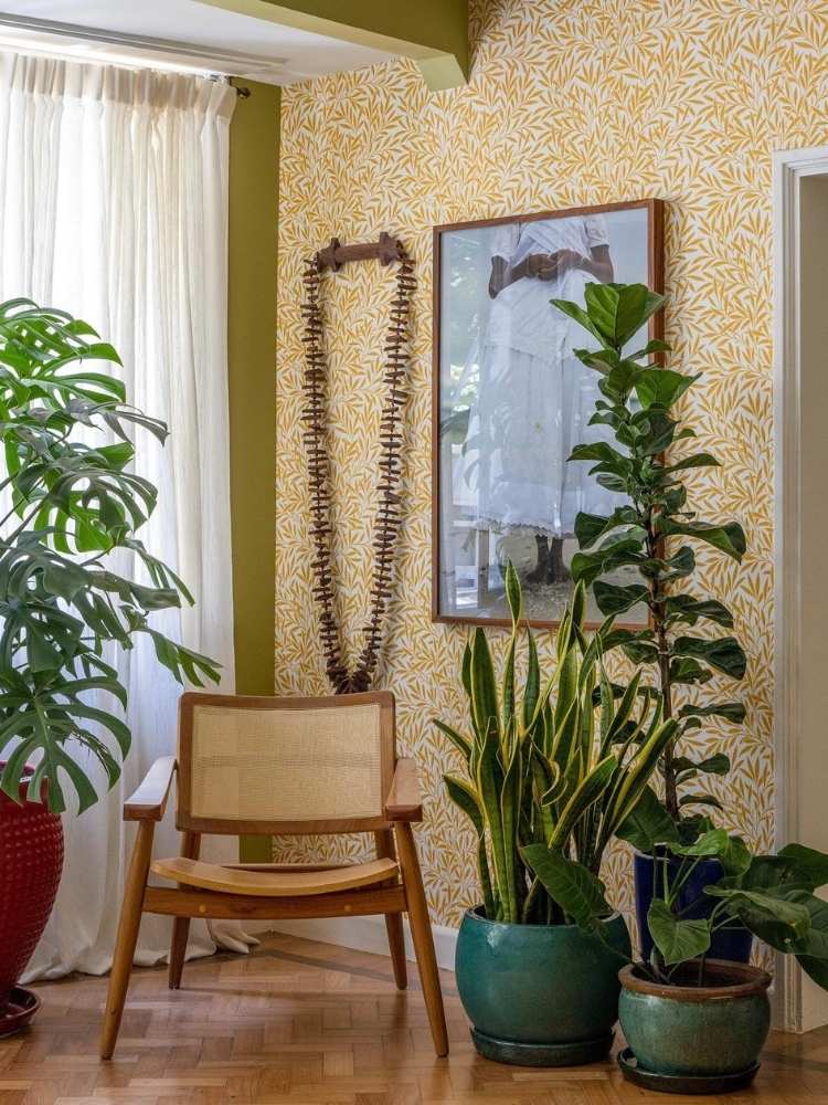 Foto de canto da casa com cadeira, quadro, vasos com plantas, dentre elas a espada-de-são-jorge 