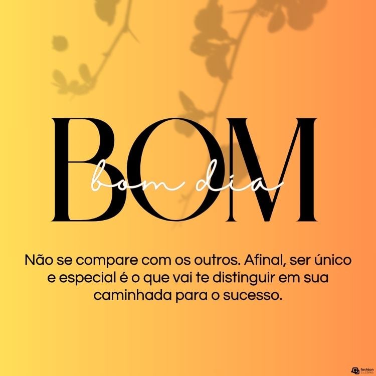 Cartão virtual de fundo laranja com sombra de flor e frase "Não se compare com os outros. Afinal, ser único e especial é o que vai te distinguir em sua caminhada para o sucesso. Bom dia!"