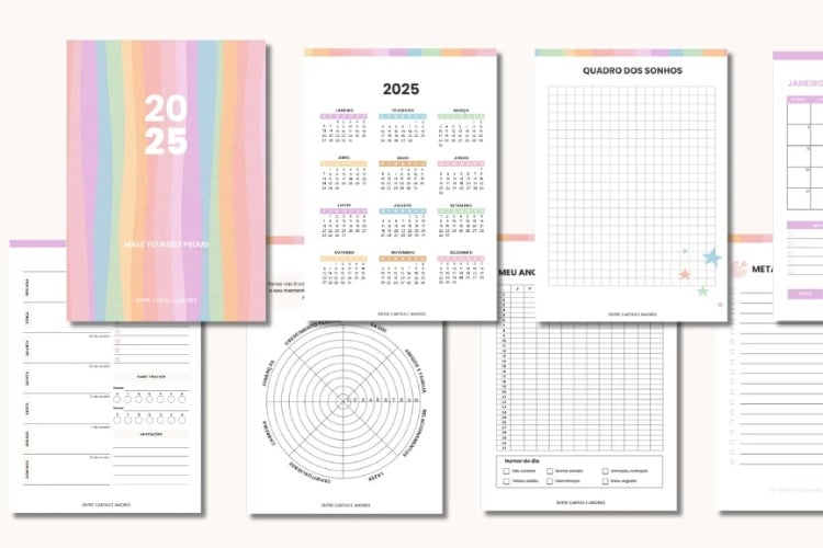 Folhas de planner colorido com calendário, roda da vida e mais 