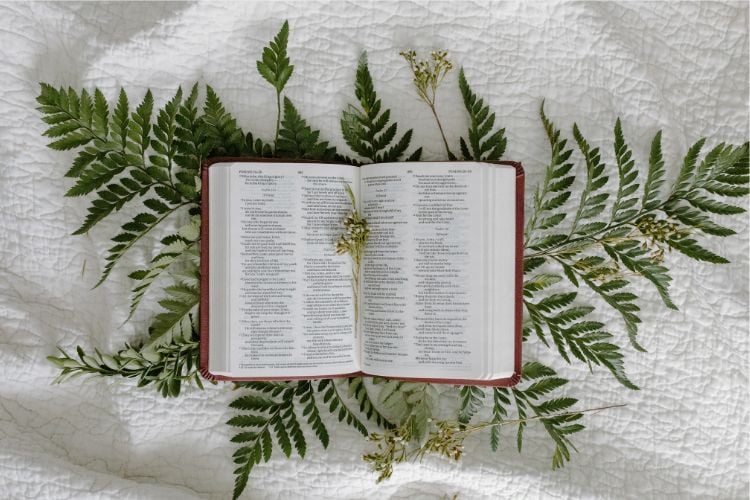 Foto de Bíblia sobre pano branco e folhas verdes, aberta em passagem sobre espiritualidade