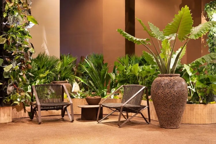 O espaço de descanso é cercado por plantas verdes exuberantes, com duas cadeiras de metal e uma mesa baixa entre elas, sob uma atmosfera tranquila e acolhedora.