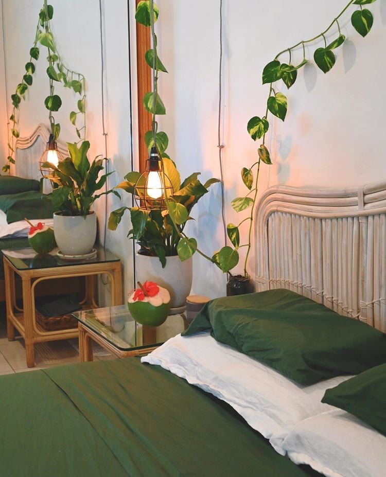 Quarto com cama de casal com roupa verde e branca. Mesa de canto de vidro com planta lírio da paz. Planta jiboia na parede