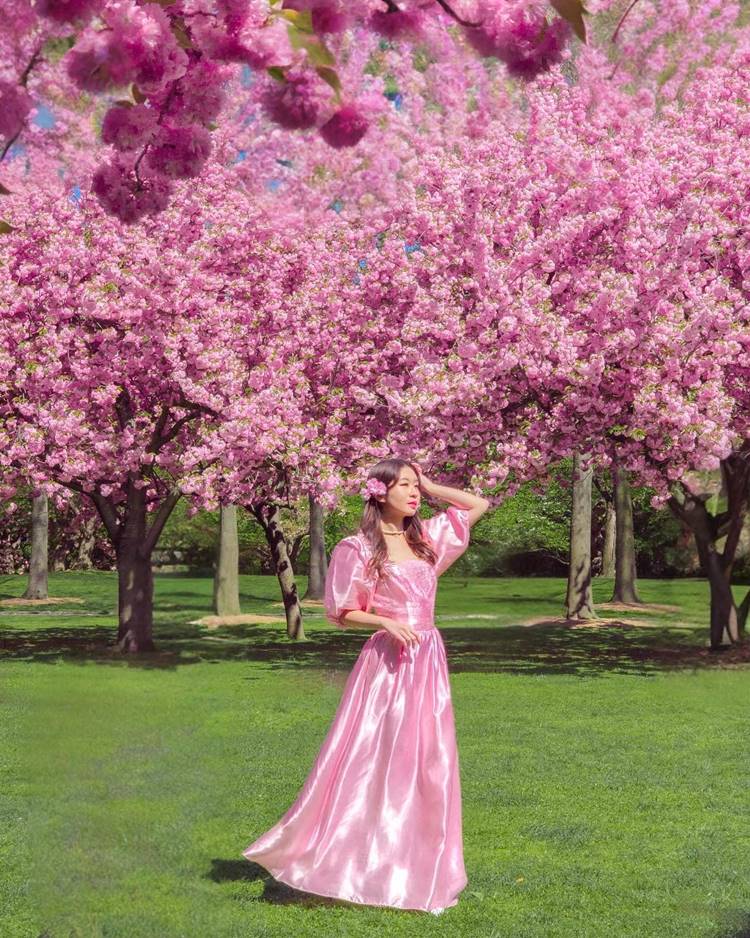 Garota usando vestido de manga bufante e corset de seda rosa em campo com árvores japonesas