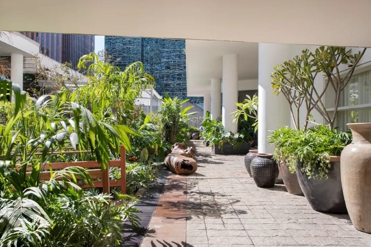 A imagem mostra um jardim urbano com vasos de plantas grandes, arbustos verdes, e um caminho pavimentado. Ao fundo, edifícios altos criam um contraste entre natureza e arquitetura moderna.