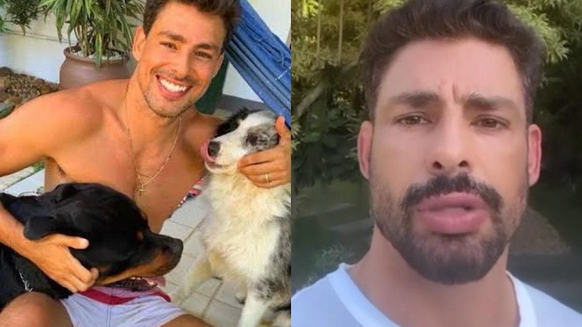 Cauã Reymond desabafa após seus cachorros serem envenenados.