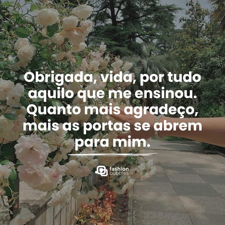 Foto de pessoa de pele clara mexendo em flores brancas e frase: Obrigada, vida, por tudo aquilo que me ensinou. Quanto mais agradeço, mais as portas se abrem para mim.