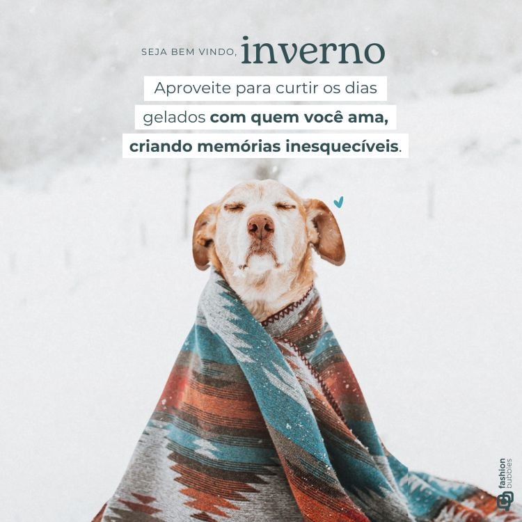 Frase de inverno escrita em foto de cachorro na neve enrolado em uma coberta