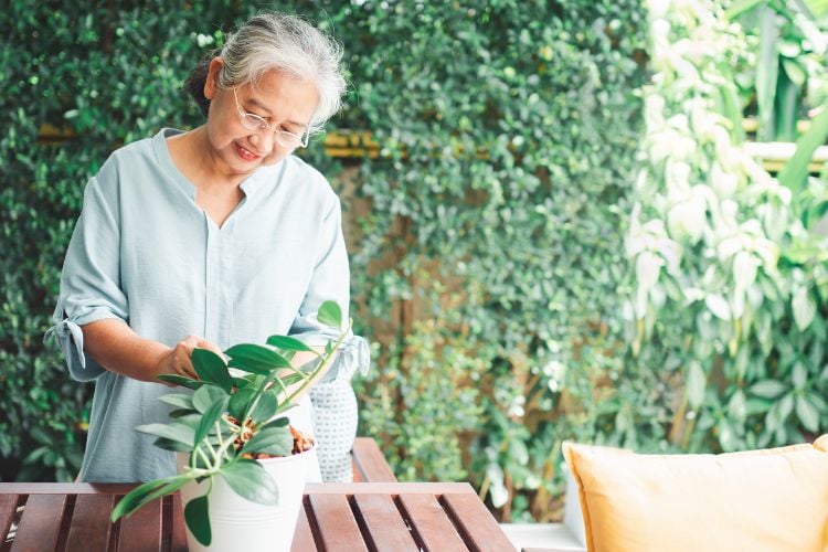 Mulher idosa de camisa clara cuidando de planta em vaso branco, com muro de plantas atrás
