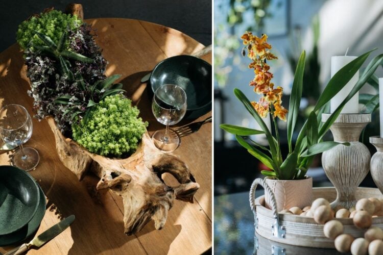 Duas fotos de arranjos com novidades em flores e plantas do Enflor & Garden Fair