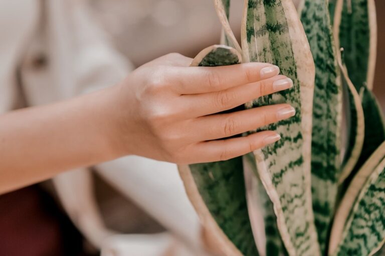 Manicure japonesa: conheça a técnica de detox das unhas que está bombando no TikTok