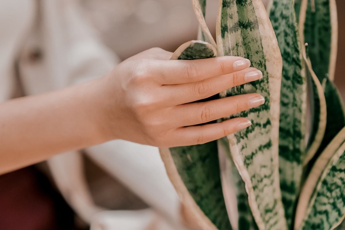 Foto de mão de mulher com manicure japonesa, técnica de unhas naturais que é tendência no TikTok