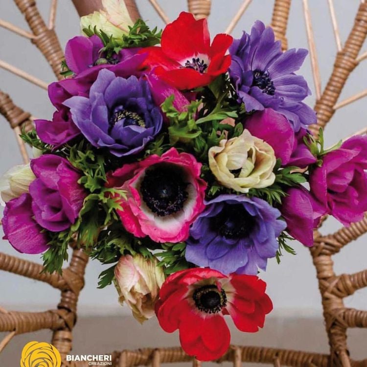 Foto de buquê de anêmonas, uma das novidades em flores apresentadas no Enflor & Garden Fair