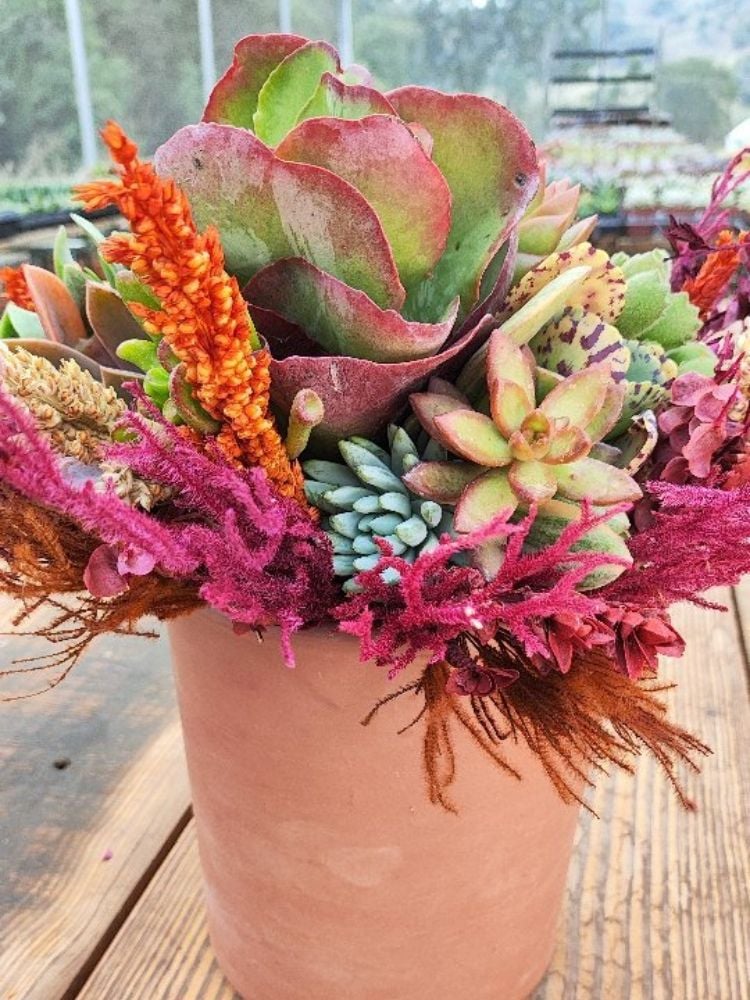 Vaso de cerâmica com arranjo de flores frescas e suculentas como flores de corte