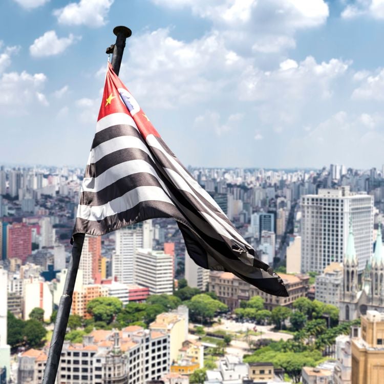 Bandeira do estado de São Paulo no alto, com vista para a cidade.