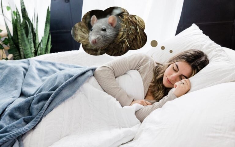 Mulher loira dormindo de lado em cama e sonhando com rato