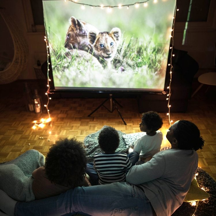A imagem mostra uma família assistindo a um filme ao ar livre em comemoração ao Dia dos Pais criativo. Há uma tela grande com a imagem de um filhote de leão, cercada por luzes cintilantes. Eles estão sentados em almofadas no chão, criando um ambiente acolhedor e íntimo.