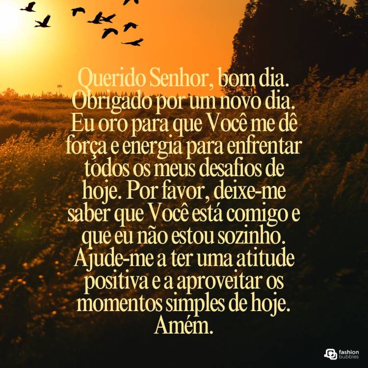 A imagem mostra um campo ao amanhecer, com o céu dourado e pássaros voando. O texto é uma oração matinal que agradece a Deus por um novo dia, pedindo força e energia para enfrentar desafios. A oração também pede a certeza da presença divina, ajuda para manter uma atitude positiva e aproveitar os momentos simples. Amém.