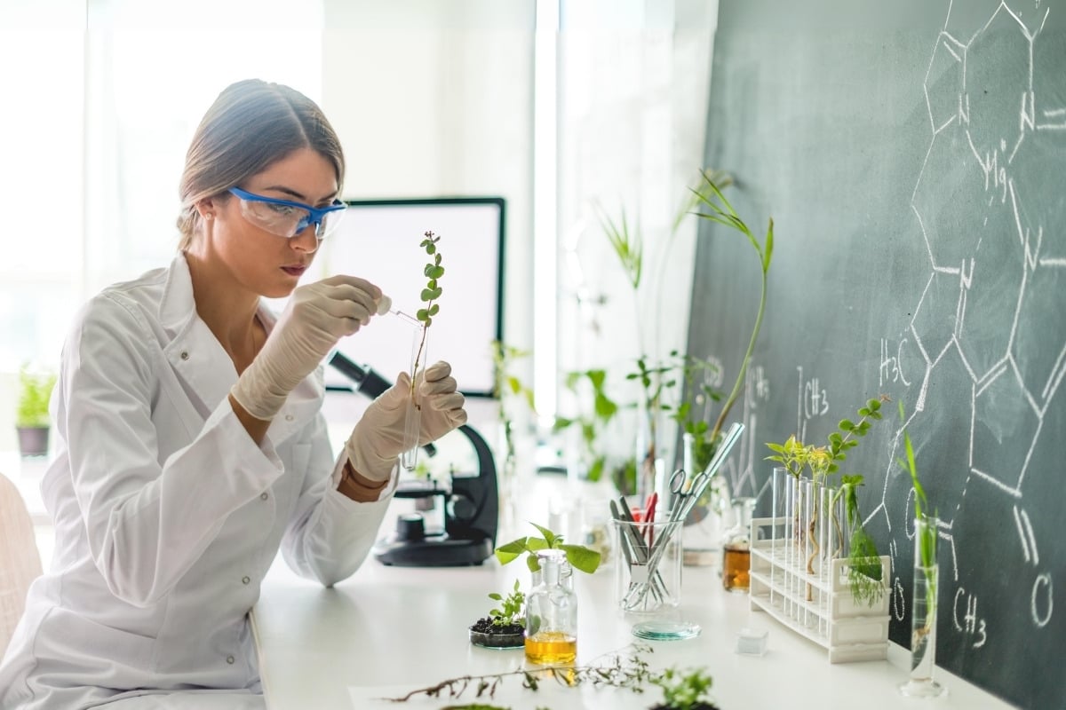 Mulher de pele clara sentada à mesa usando jaleco branco e óculos de proteção enquanto mexe em ramo de planta. Na mesa, há diversos tubos de coleta e ramos. Em frente à mesa, há uma lousa com fórmula química estrutural