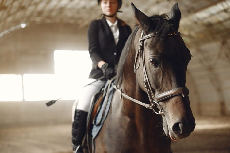 A elegância e o estilo dos esportes equestres: uma jornada de tradição e sofisticação