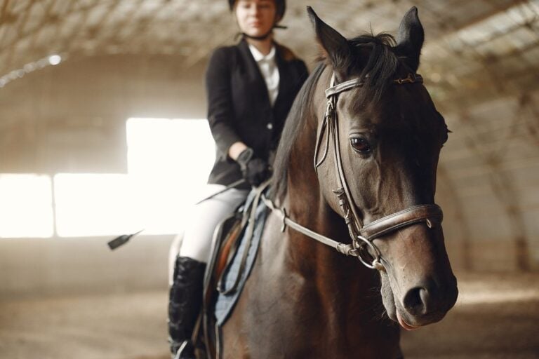 Mulher montada em cavalo praticando esportes equestres