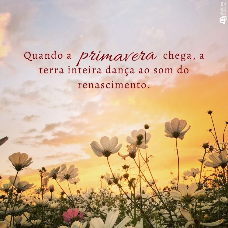 A imagem mostra um campo de flores brancas sob um céu dourado ao pôr do sol. A frase "Quando a primavera chega, a terra inteira dança ao som do renascimento" está escrita em letras elegantes, destacando frases de primavera.