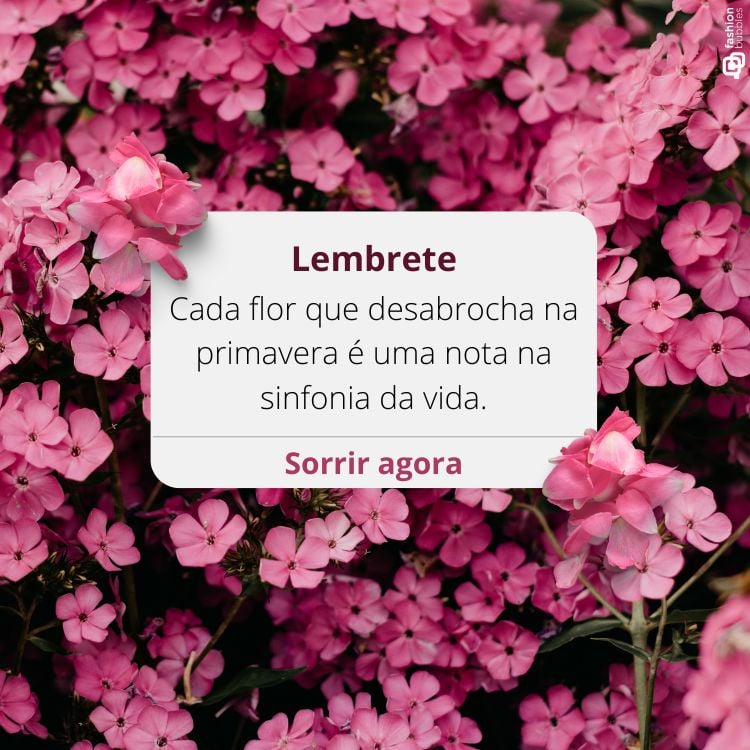 A imagem apresenta flores rosas vibrantes. No centro, um lembrete diz: "Cada flor que desabrocha na primavera é uma nota na sinfonia da vida." A frase "Sorrir agora" está abaixo, evocando frases de primavera.