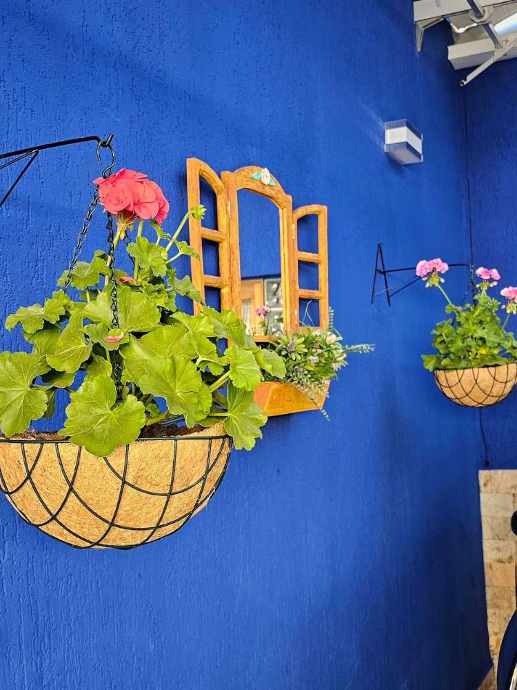 Parede azul com janela decorativa de madeira e dois cestos suspensos com gerânios pendentes laranjas