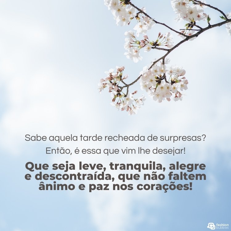 Foto de céu azul claro com nuvens, galhos de árvore de flor branca e frase "Sabe aquela tarde recheada de surpresas? Então, é essa que vim lhe desejar! Que seja leve, tranquila, alegre e descontraída, que não faltem ânimo e paz nos corações!"