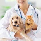 A imagem mostra uma veterinária sorridente, vestida com jaleco branco e estetoscópio, segurando um filhote de cachorro e um gatinho. O cachorro é de cor clara, com orelhas longas, e o gatinho é laranja, pequeno e fofo. Ambos os animais parecem tranquilos e estão nos braços da profissional em um ambiente claro e acolhedor.