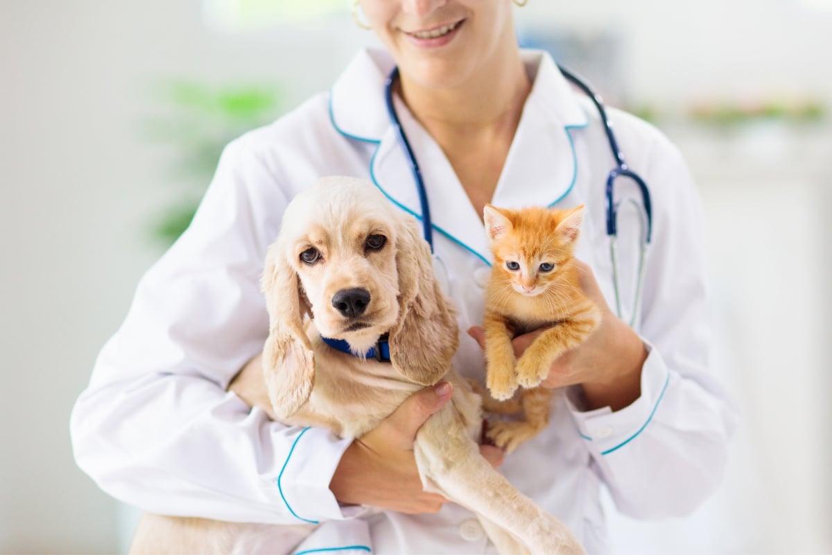 A imagem mostra uma veterinária sorridente, vestida com jaleco branco e estetoscópio, segurando um filhote de cachorro e um gatinho. O cachorro é de cor clara, com orelhas longas, e o gatinho é laranja, pequeno e fofo. Ambos os animais parecem tranquilos e estão nos braços da profissional em um ambiente claro e acolhedor.