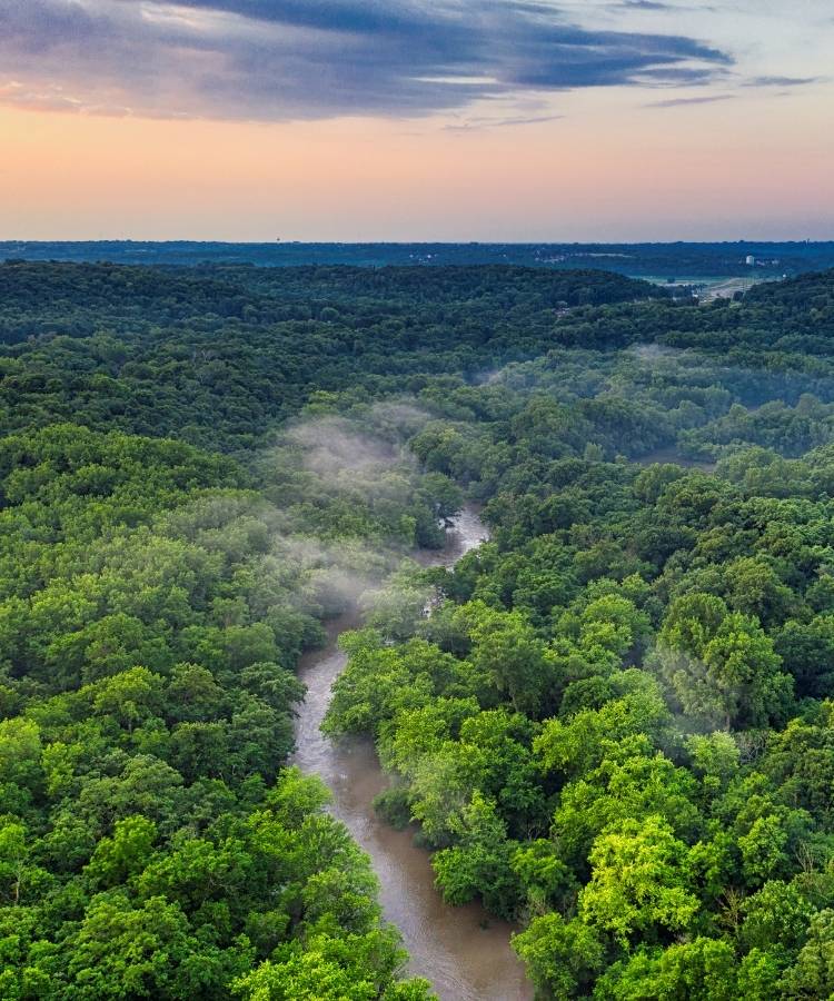 A imagem mostra uma vista aérea de uma floresta densa e verdejante, cortada por um rio sinuoso. A neblina paira suavemente sobre as árvores, criando uma atmosfera serena. O horizonte exibe um céu com tons de azul e laranja, sugerindo o amanhecer ou o entardecer. A cena transmite uma sensação de tranquilidade e beleza natural.