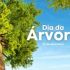 A imagem mostra uma árvore vista de baixo, com um tronco marrom e uma copa verde vibrante. O céu ao fundo é azul claro. No lado direito da imagem, está escrito "Dia da Árvore" em letras brancas grandes, e logo abaixo, "21 de setembro".