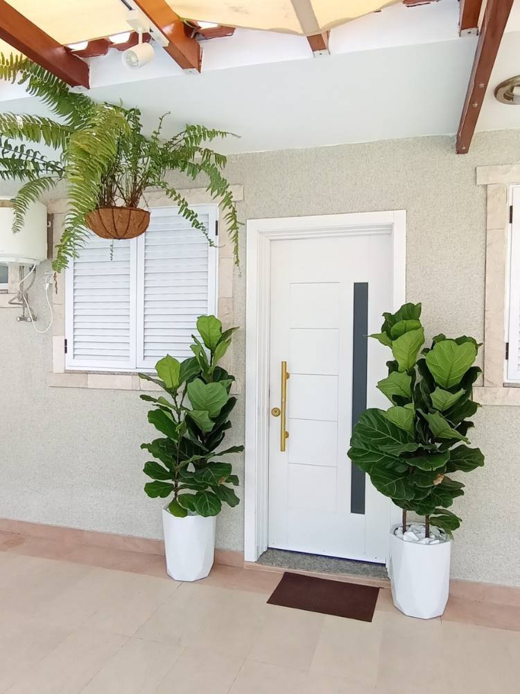 Entrada de casa com dois vasos brancos de Ficus lyrata e um vaso suspenso de samambaia 