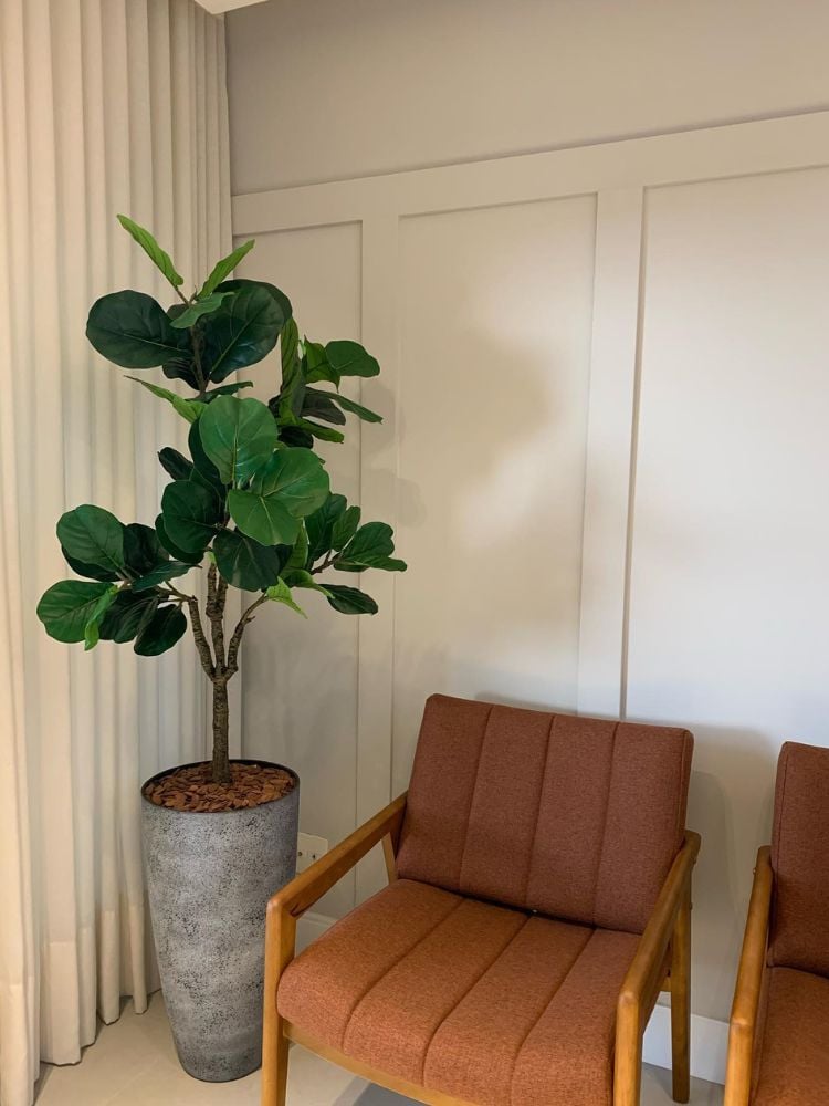 Poltronas marrons ao lado de vaso cinza com Ficus lyrata