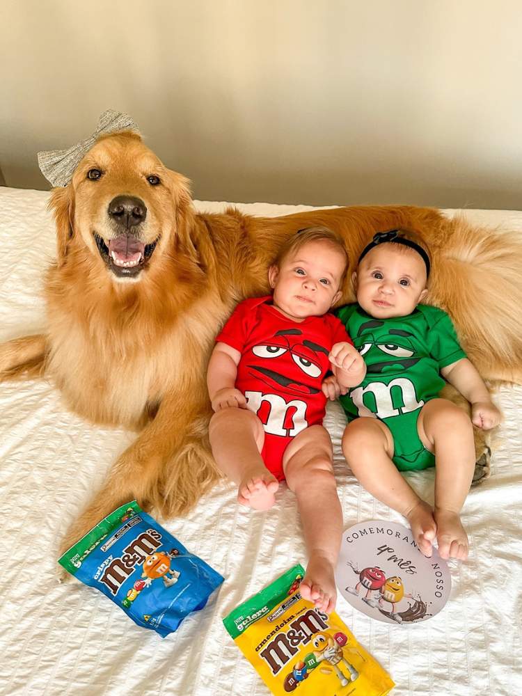 Golden Retriever deitada na cama com duas bebês vestidas de MM