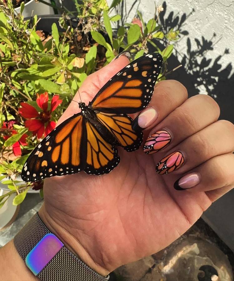 A imagem mostra uma mão segurando uma borboleta monarca com asas alaranjadas e pretas. As unhas estão decoradas com um design que imita asas de borboleta, em tons de rosa e preto, com detalhes brancos. Ao fundo, há plantas verdes e flores vermelhas. No pulso, há uma pulseira metálica com um detalhe em azul e roxo.