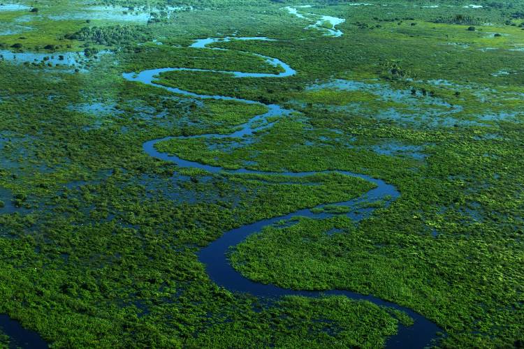 Foto vista de cima de Pantanal com rio e vegetação 